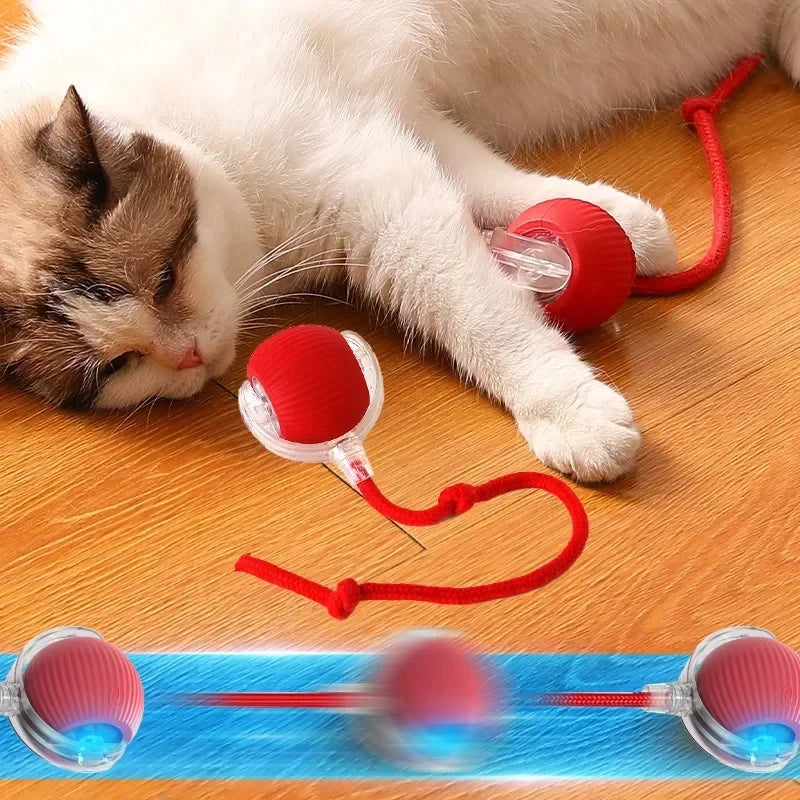 Interactive Cat Rolling Ball - Electric USB Rechargeable