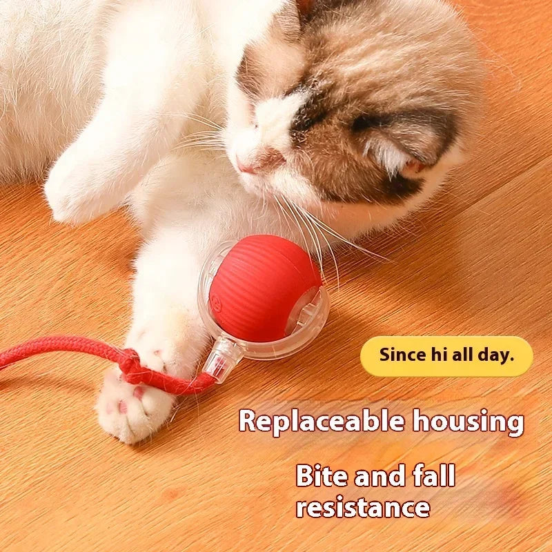 Interactive Cat Rolling Ball - Electric USB Rechargeable