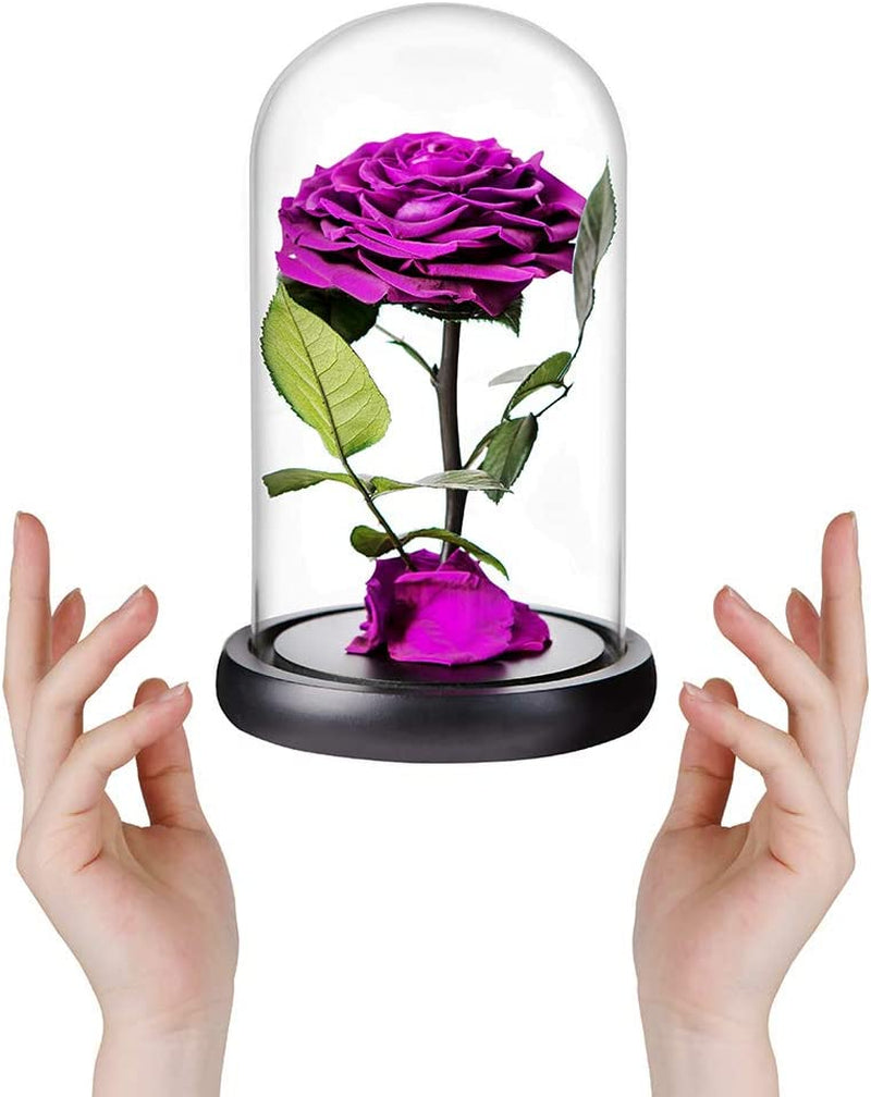 Real Preserved Purple Rose in Glass Dome with Wooden Base -Romantic Gifts for Her