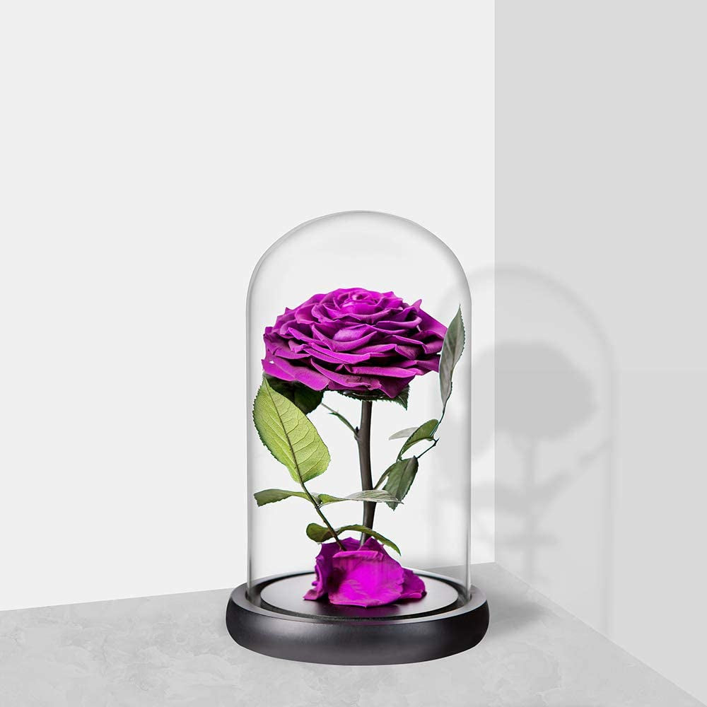 Real Preserved Purple Rose in Glass Dome with Wooden Base -Romantic Gifts for Her