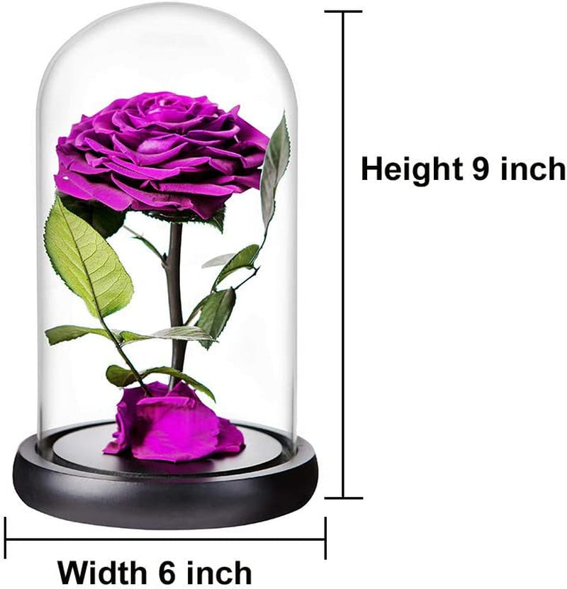 Real Preserved Purple Rose in Glass Dome with Wooden Base -Romantic Gifts for Her