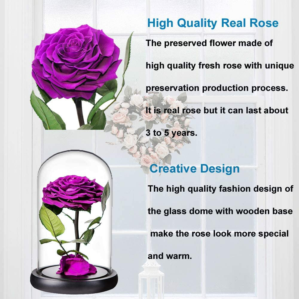 Real Preserved Purple Rose in Glass Dome with Wooden Base -Romantic Gifts for Her